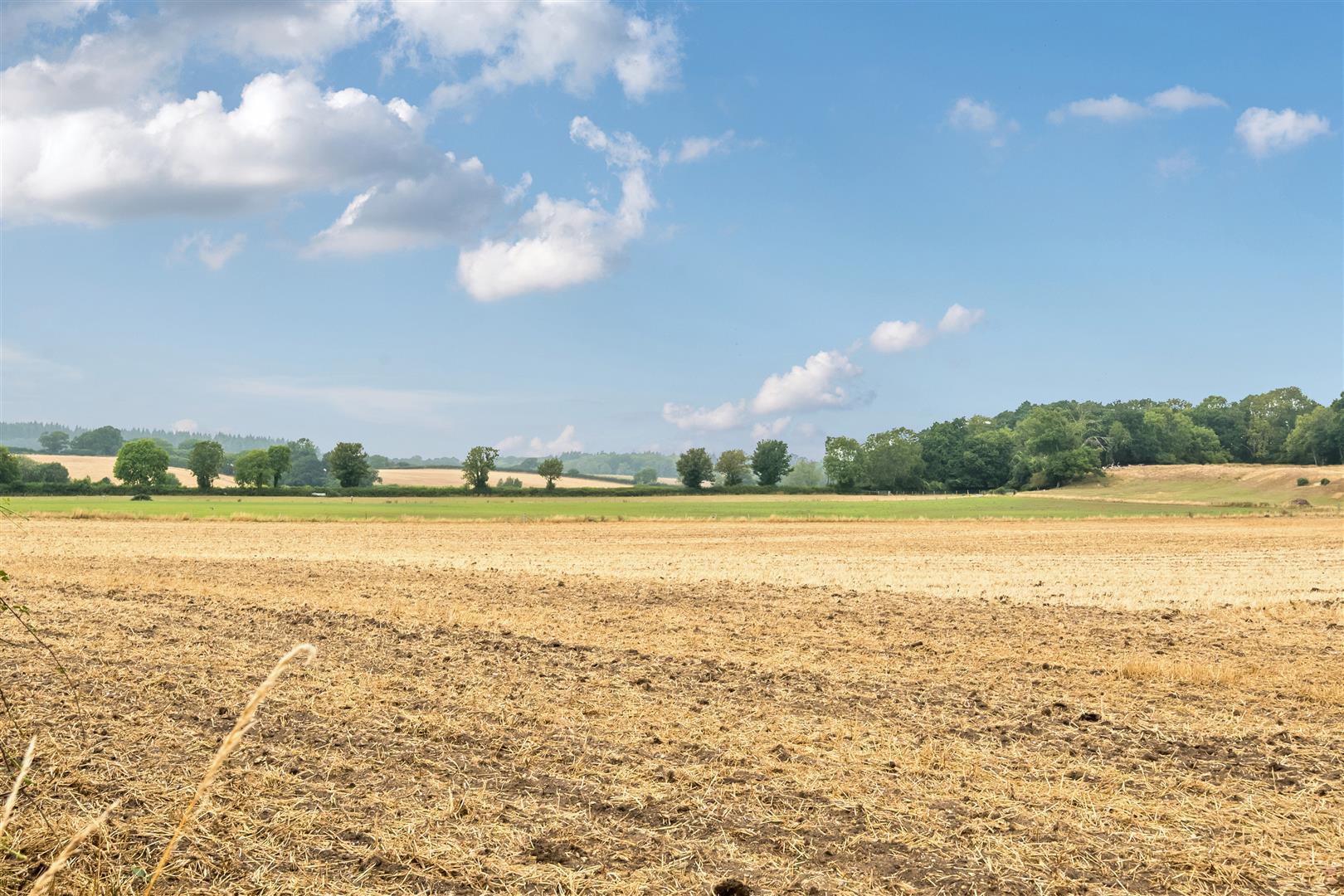 Property Image a2335b32-3c18-424e-8eeb-fc934be2c903