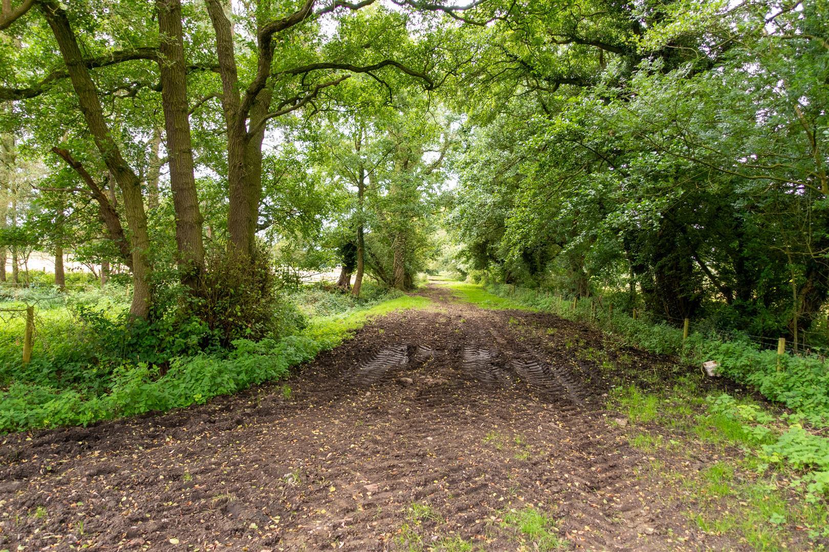 Property Image a261134d-5004-44e5-8387-aef32791f78c