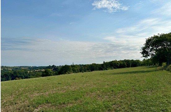Property Image a2680601-a1af-4f01-8e7c-35ff37bf1ec2