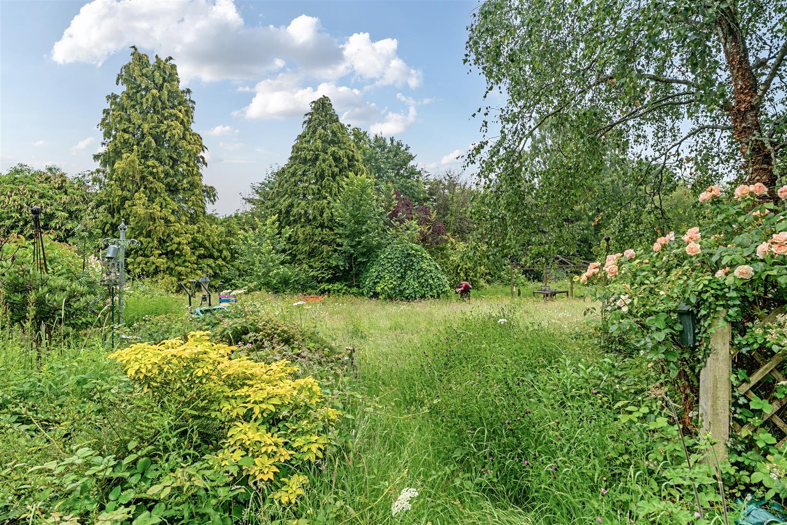 Property Image a2bec84c-388b-4b8a-88e4-e9d35ccbcadb