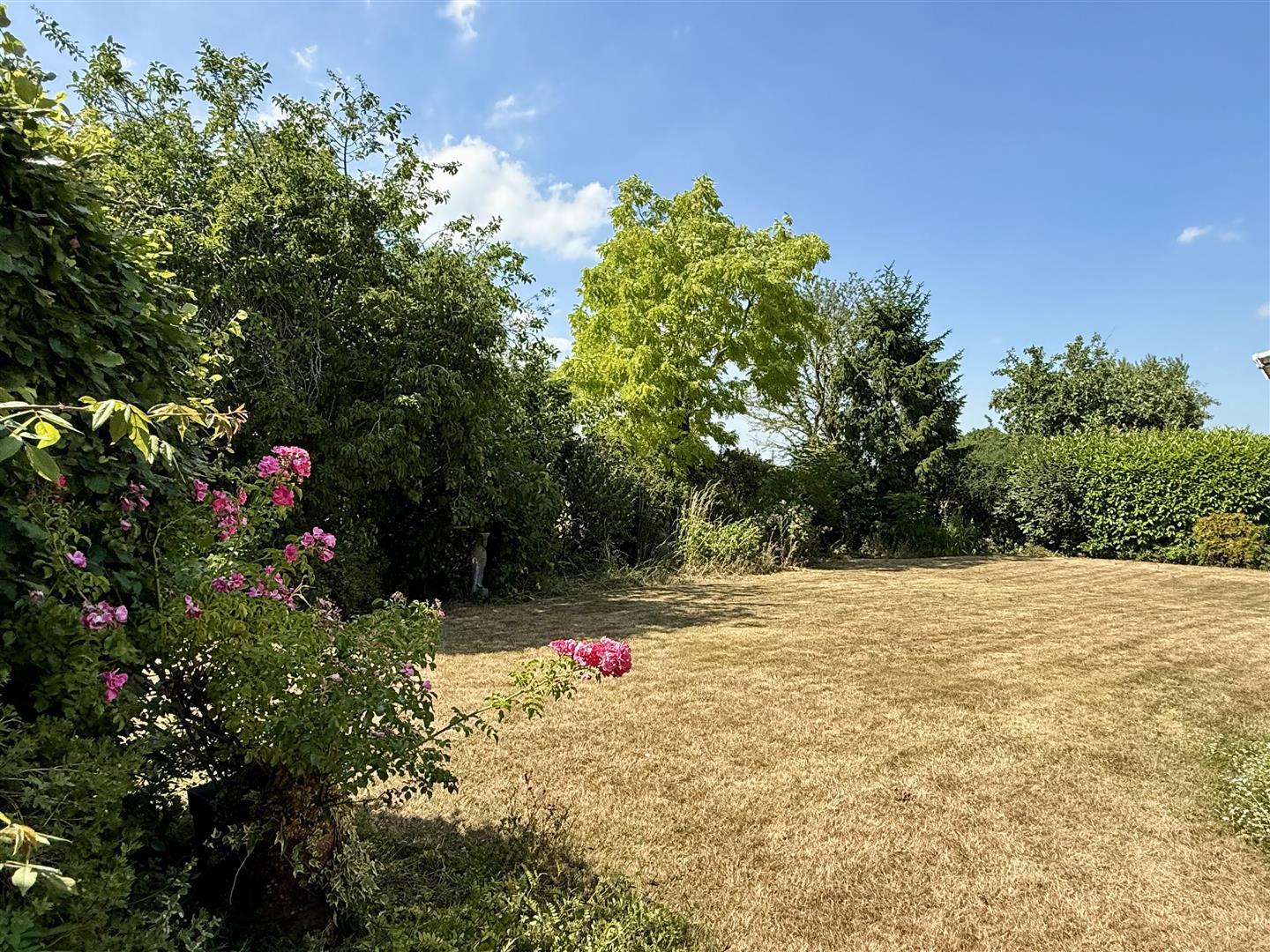 Property Image a2ca6452-f9fd-41c2-af7c-ed0ba092e09e