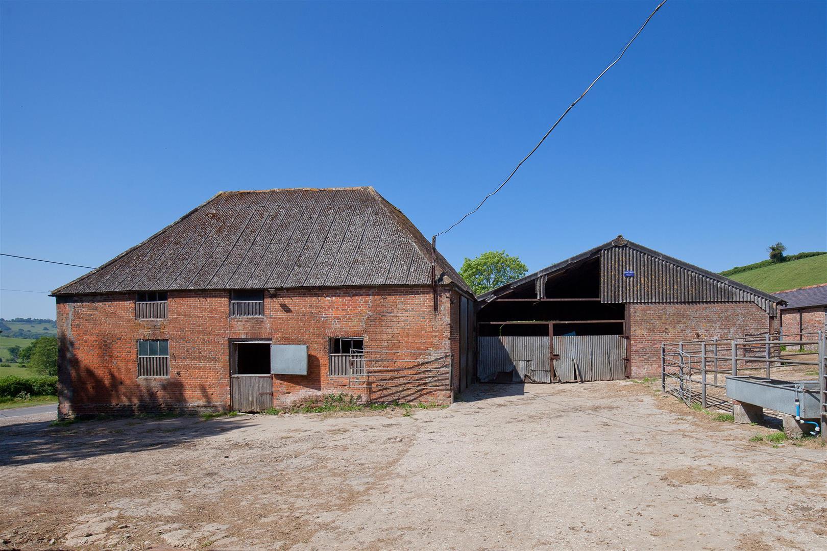 Image 10