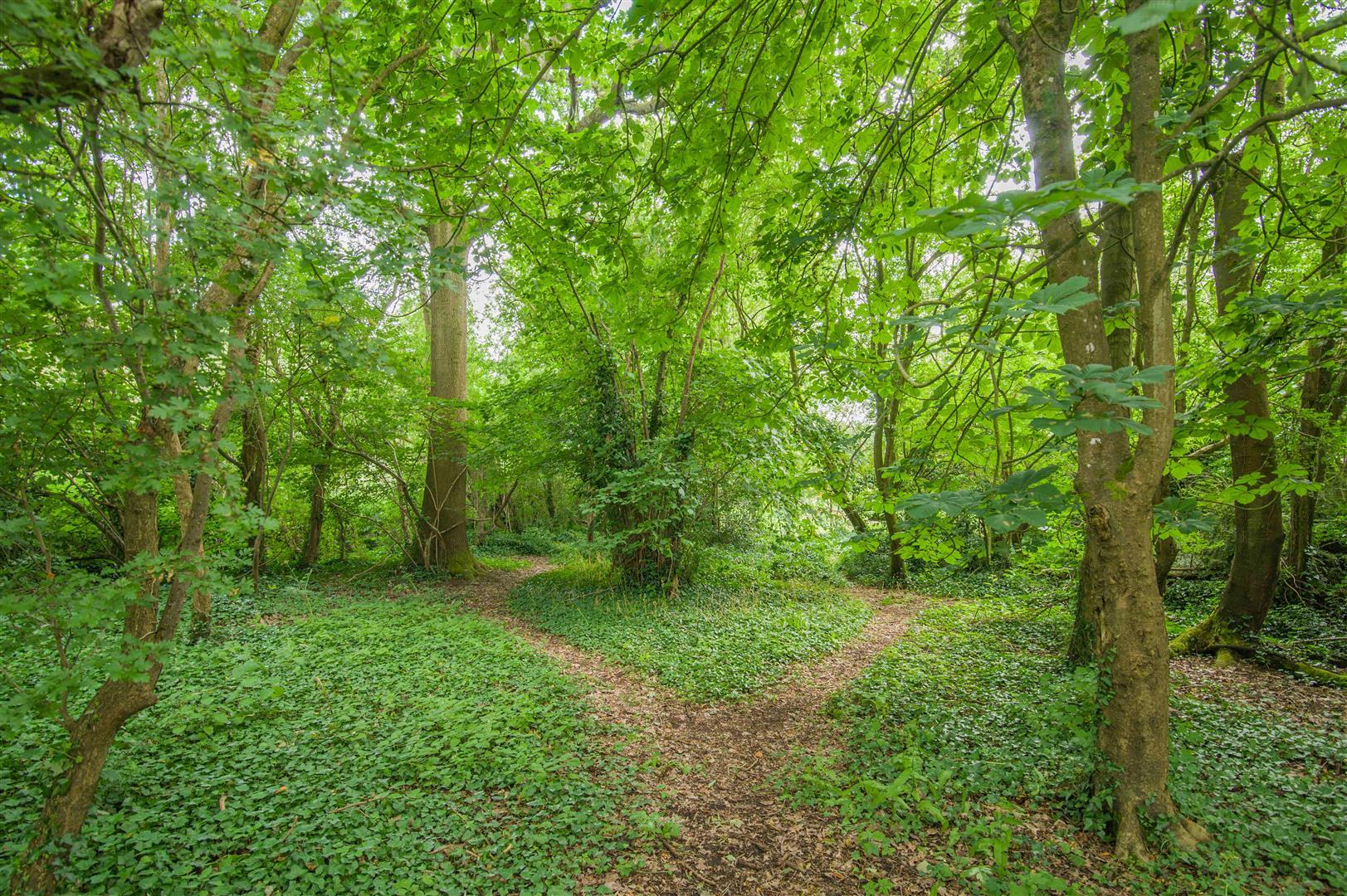 Property Image a338e333-1c1e-4bc8-a297-65342179932c
