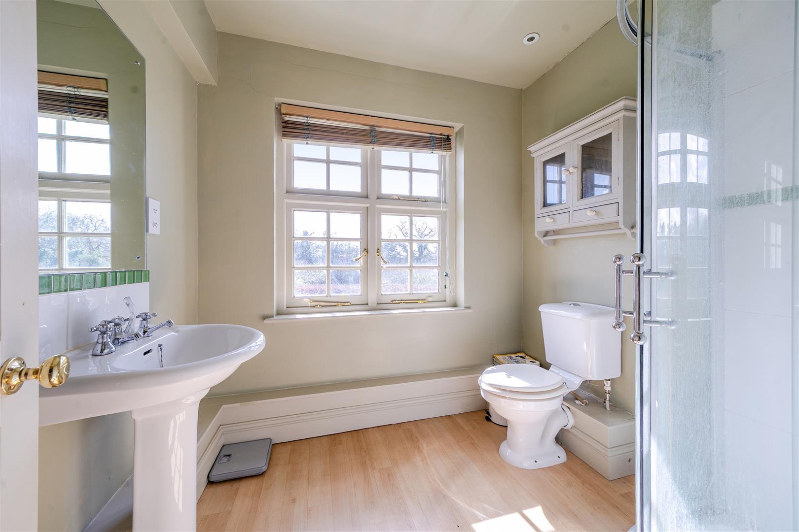 Property Image a395254a-a1a0-4c67-9953-81a4546cfe1b