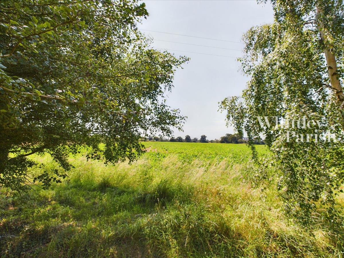 Image 41