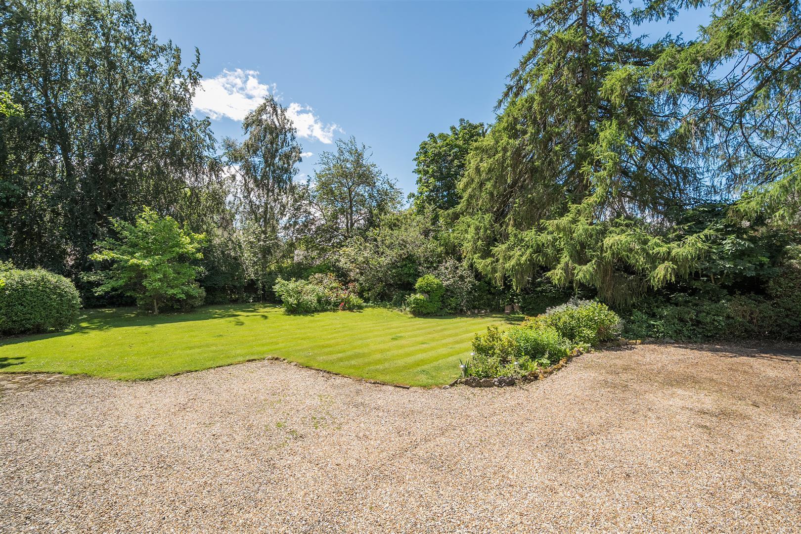 Property Image a3e36553-5e28-4d03-a54e-f03c1df06ca2