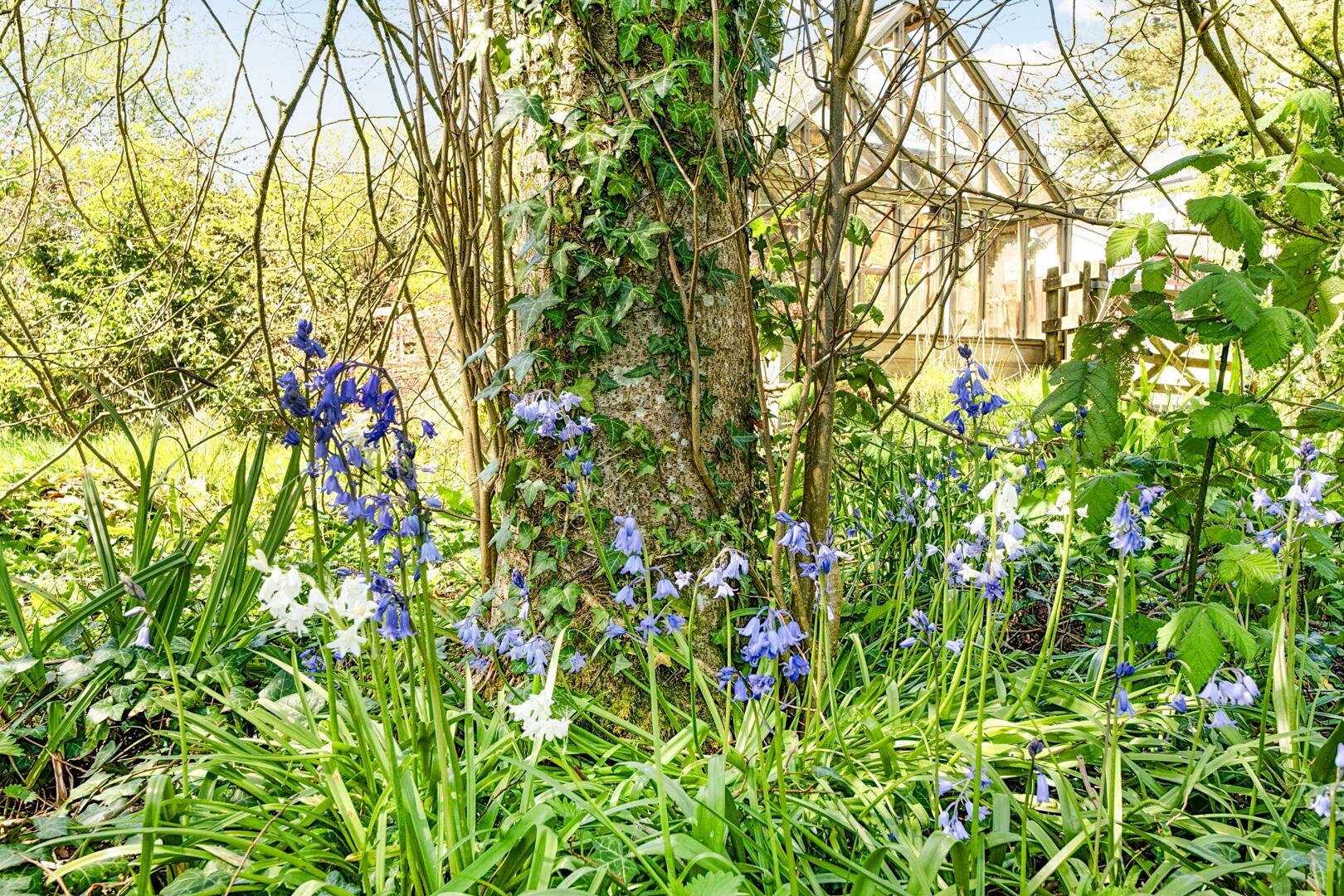 Property Image a470845b-916d-476c-9c46-5ee66d4f6d77