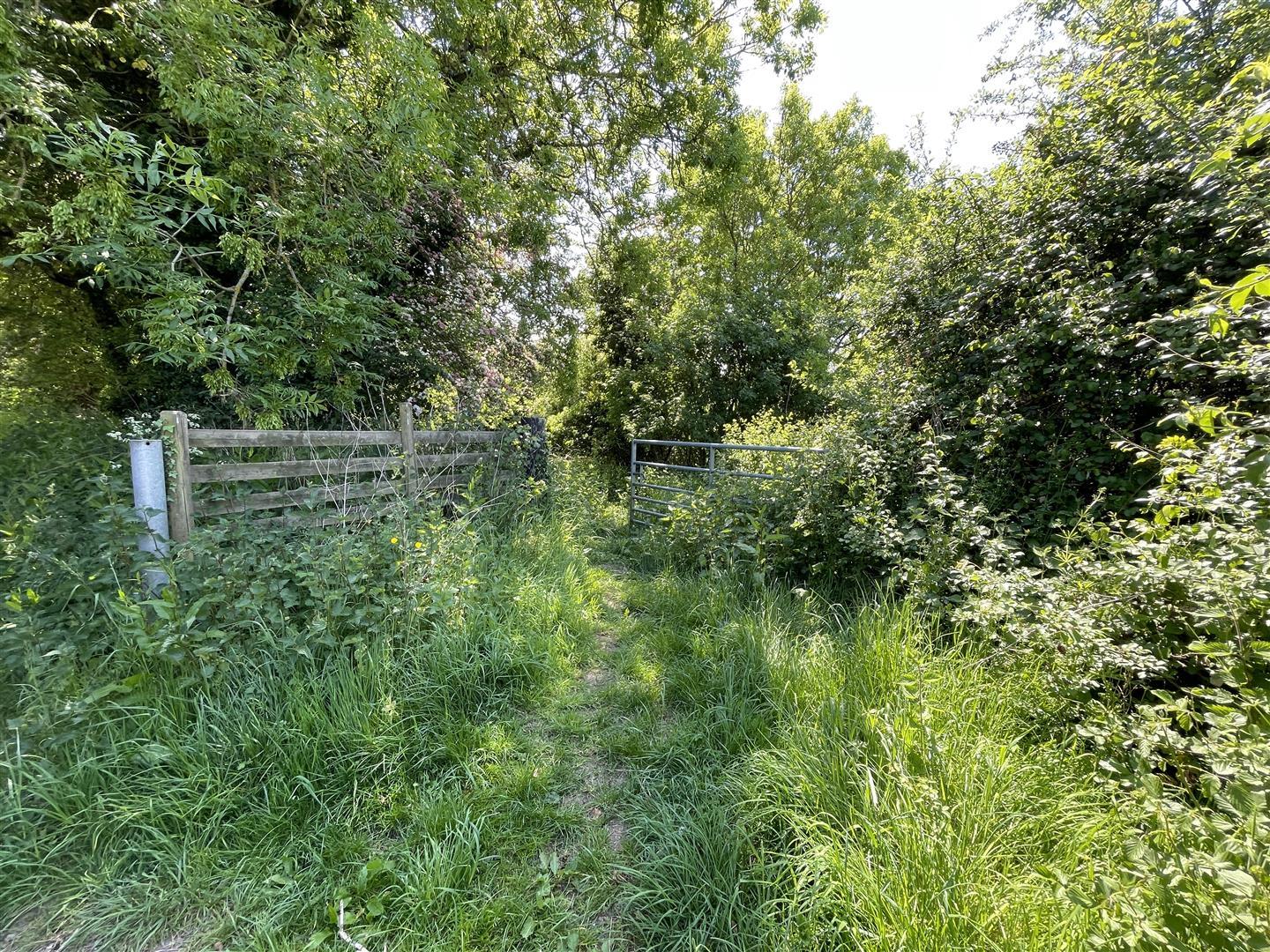 Property Image a48ab1bf-3d5f-4aa3-86e4-707136602ad2
