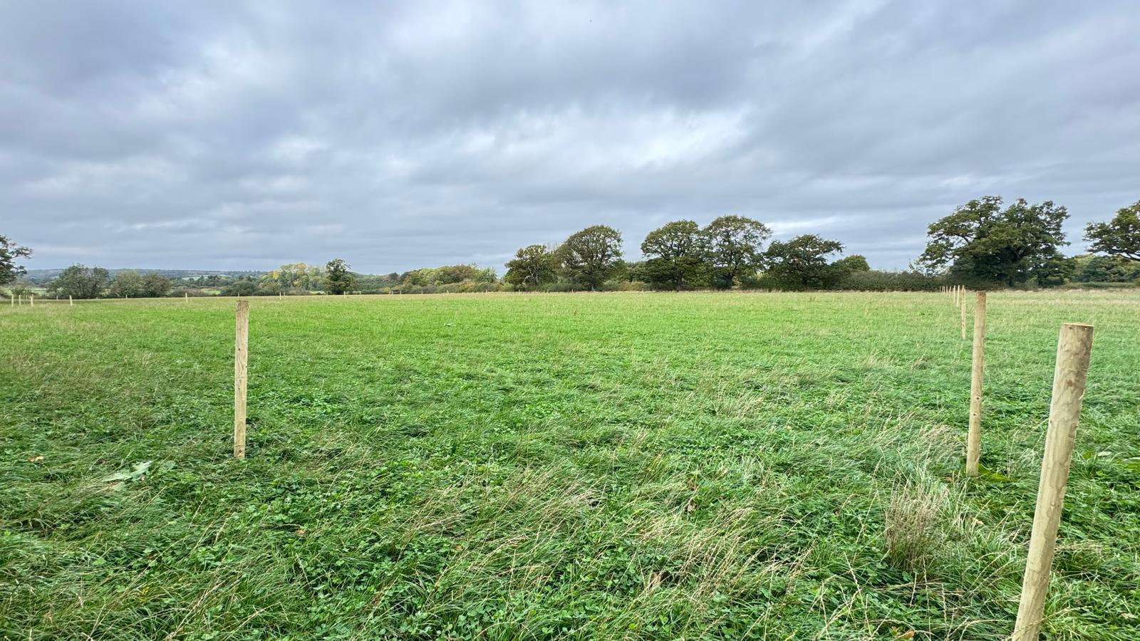 Property Image a48c48f2-f237-4ed8-ade0-4fd4bd146267