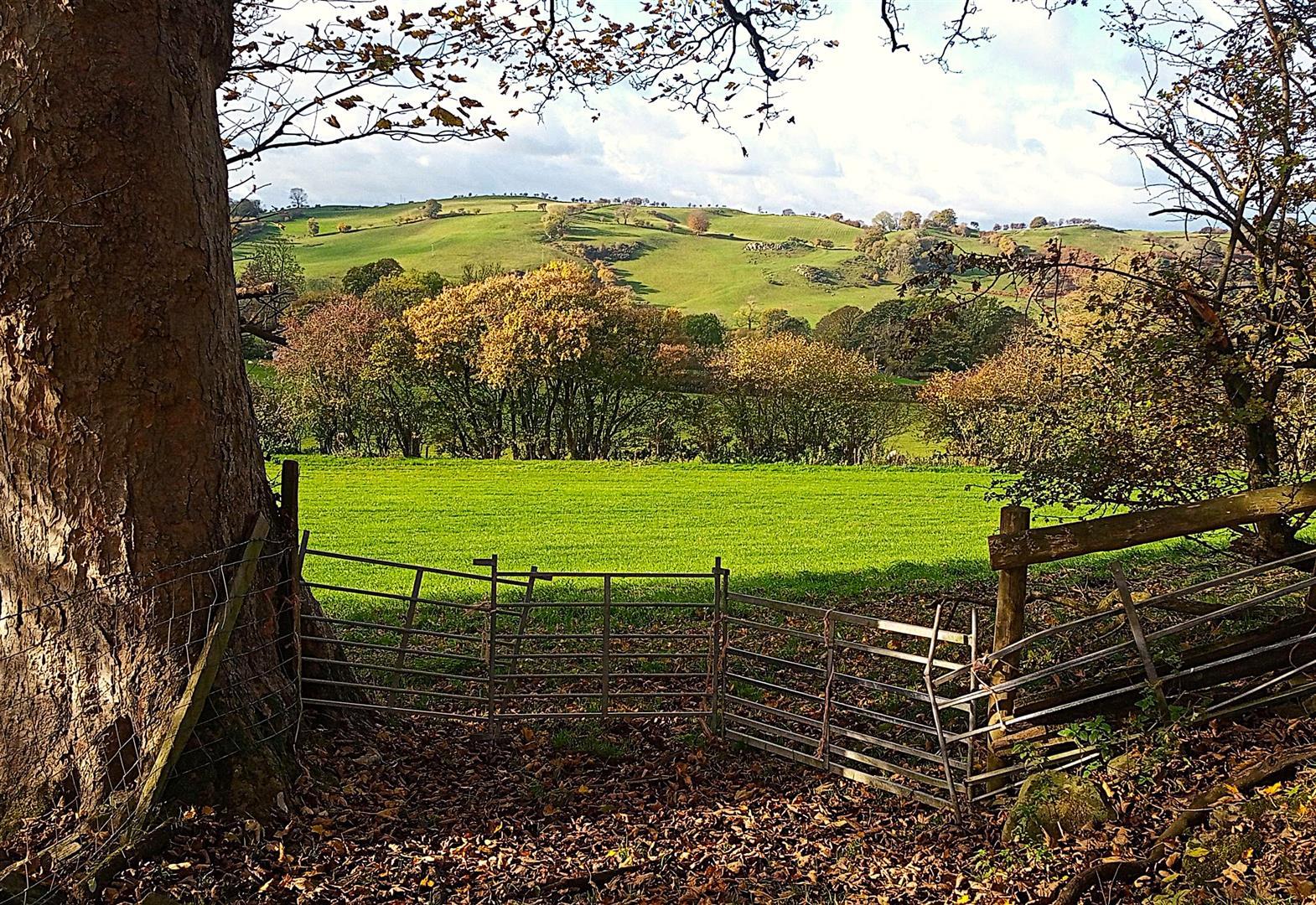 Property Image a4bb2783-97de-4b80-875c-a27b9a0062c8