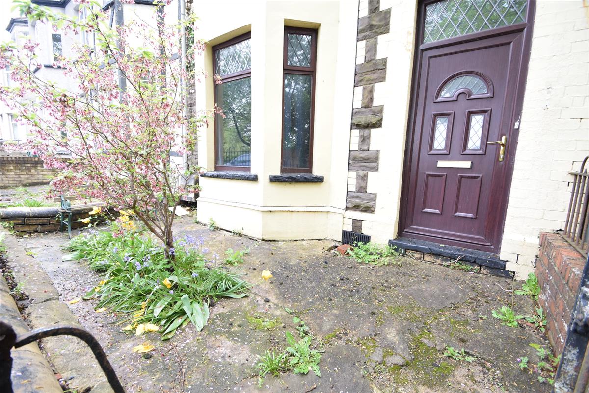 Image 11