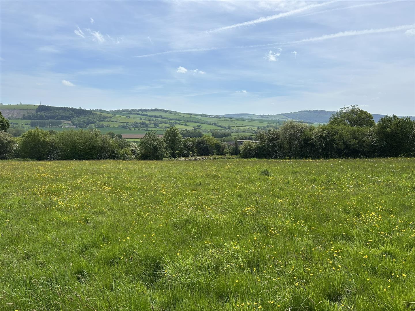 Property Image a4d37ad0-b5a3-4655-8d64-c79da78d215d