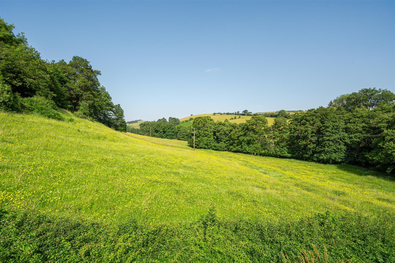 Property Image a4d5c480-aef2-4ee9-ac59-56727b7ceaee