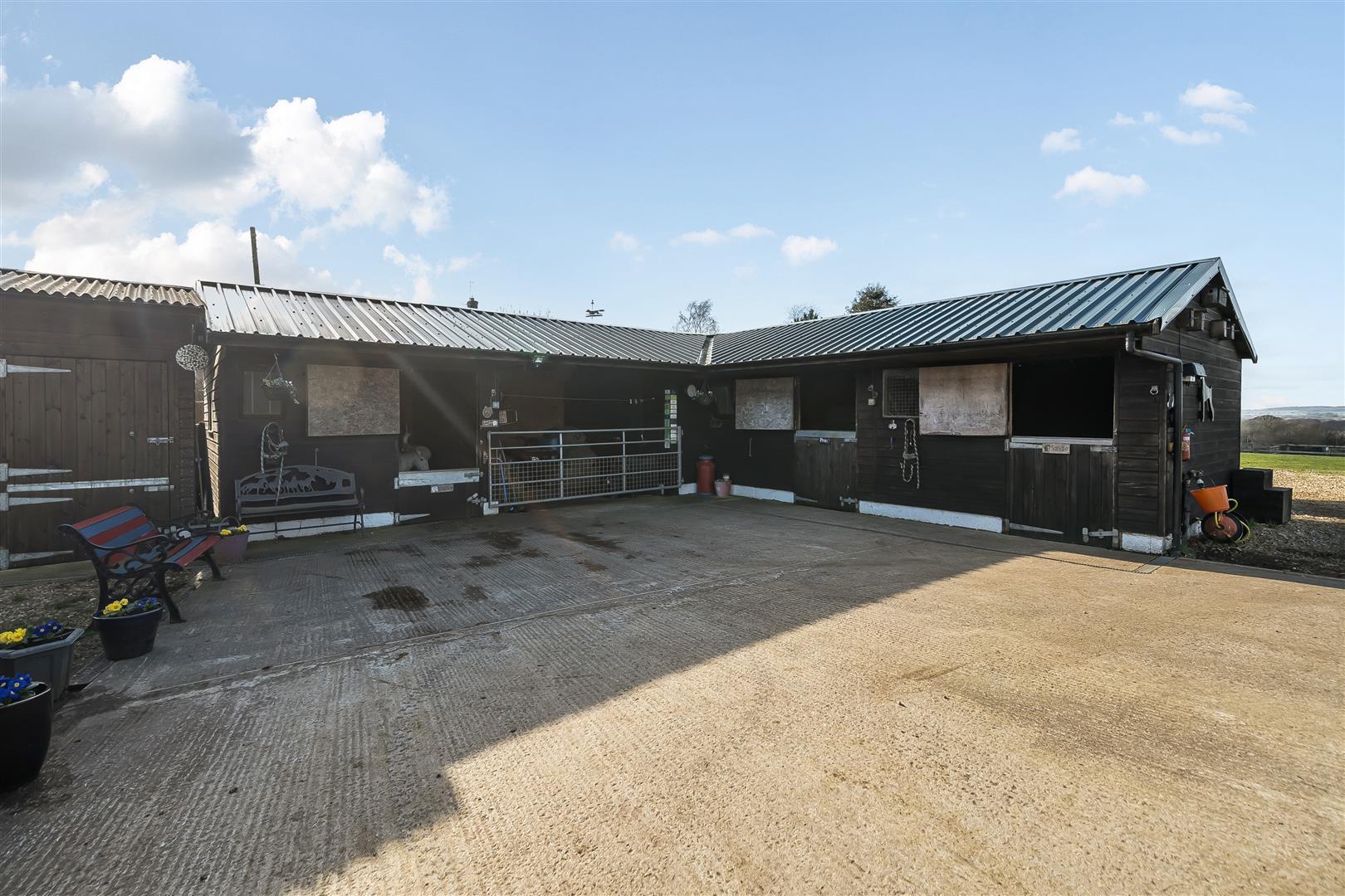 Image 20