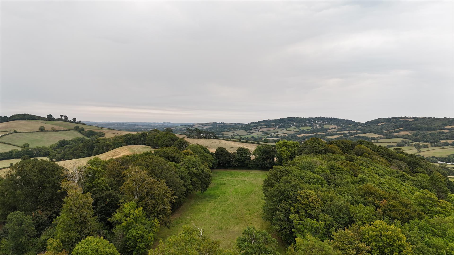 Property Image a4ea9202-e1dd-46af-84d1-eb3f545be78c