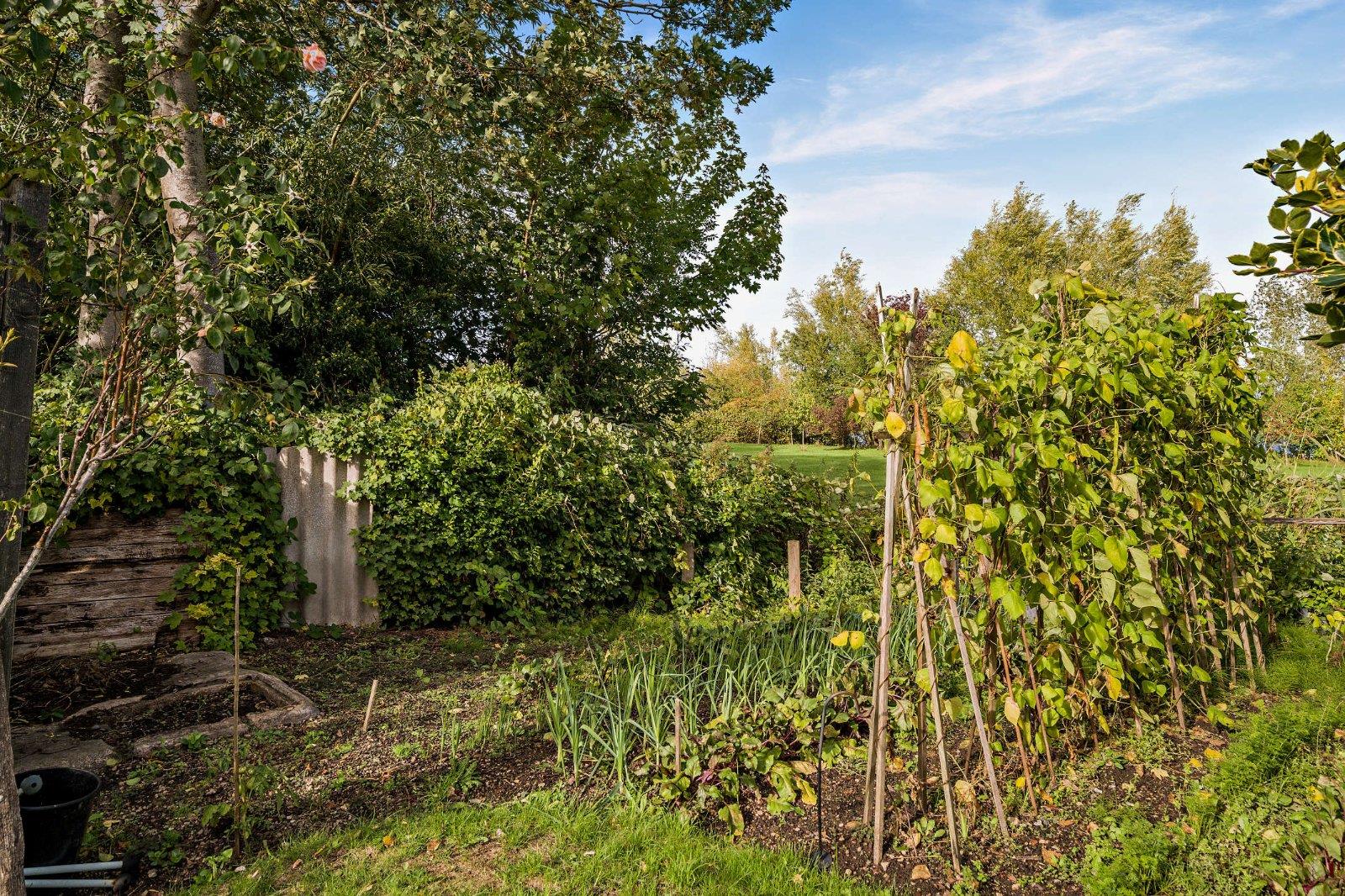 Property Image a501834e-e9e8-4a55-a56f-d49613232a51