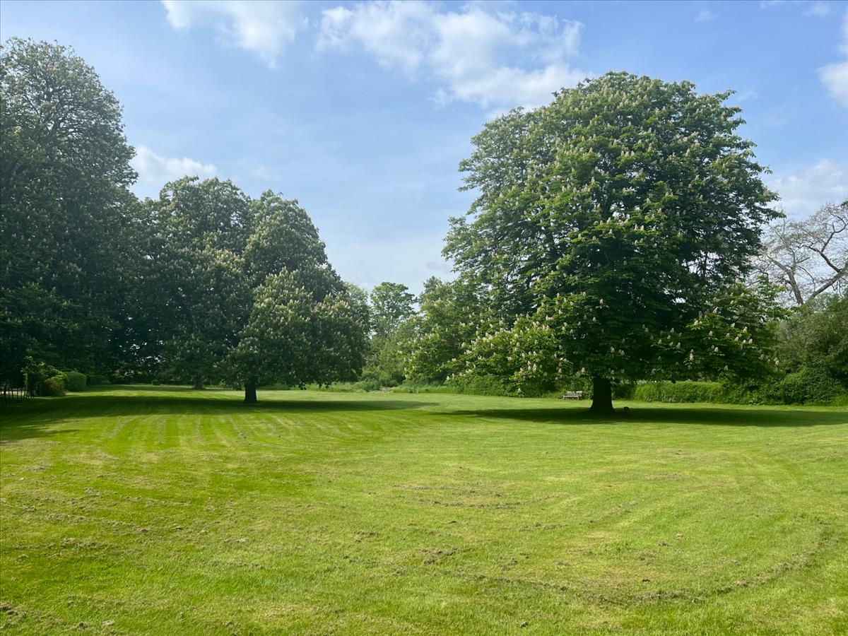 Property Image a51ee80d-5c8d-44c0-89e9-b50c4d090e98