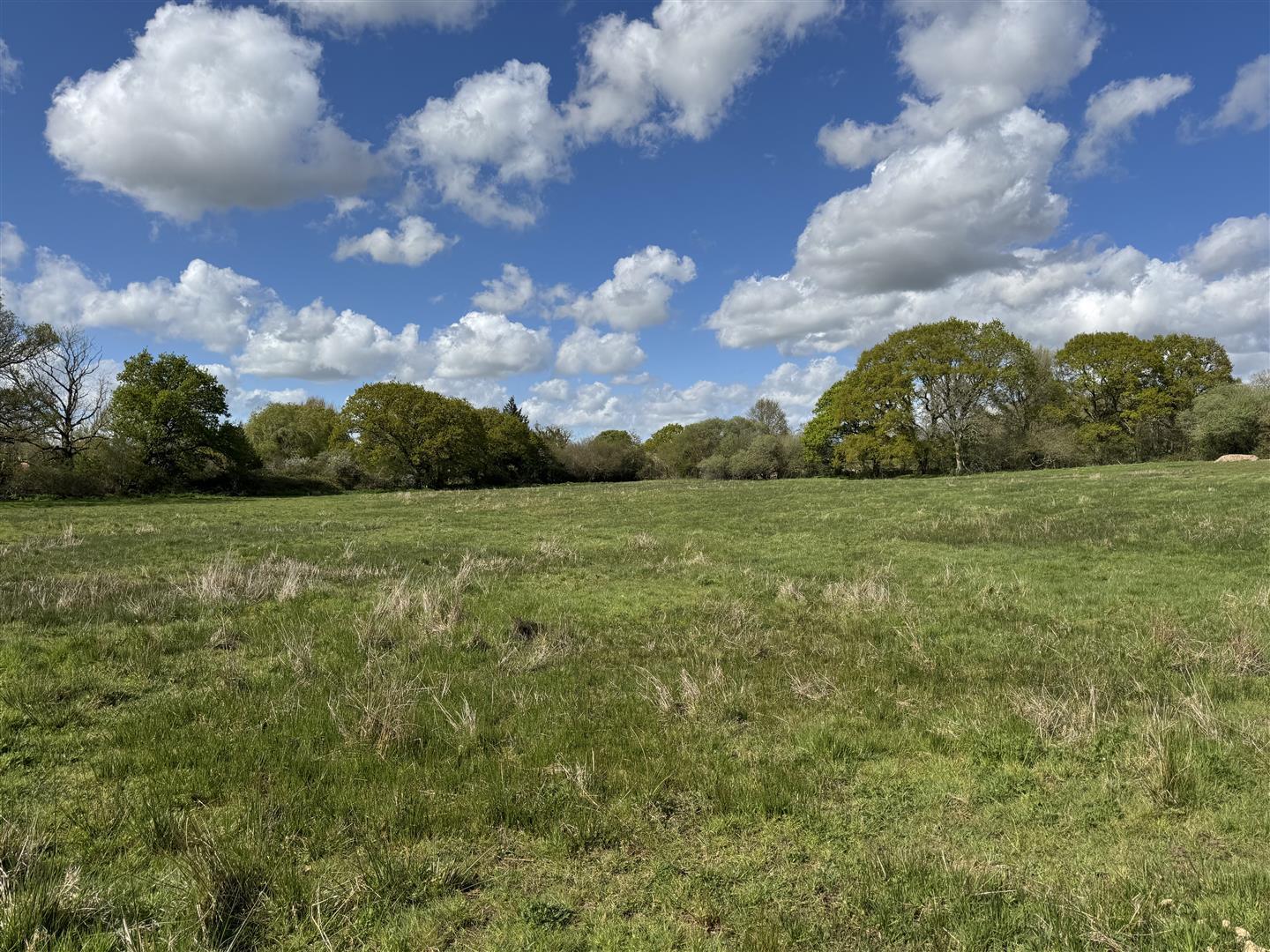Property Image a55ebadf-7f14-40fb-8b48-27902547baf2