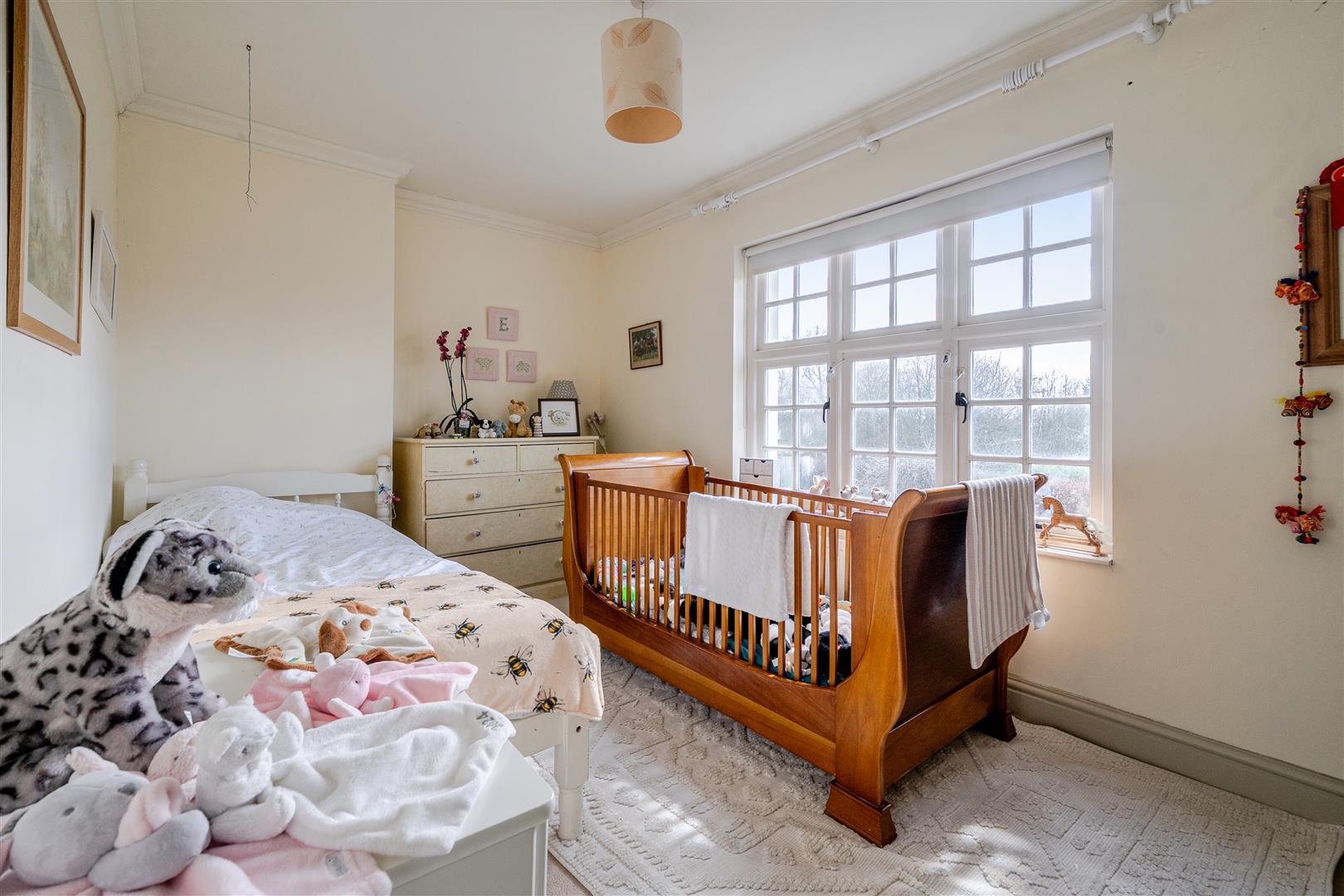 Property Image a58810ef-eff8-4994-9b5a-e9a3aa2b9201