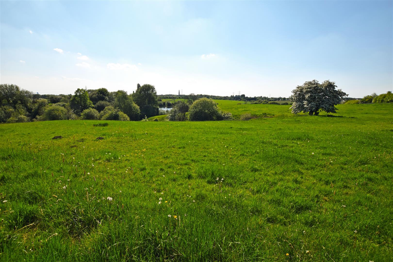 Image 25
