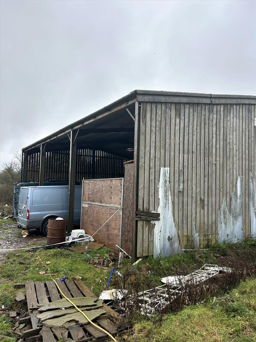 Image 6