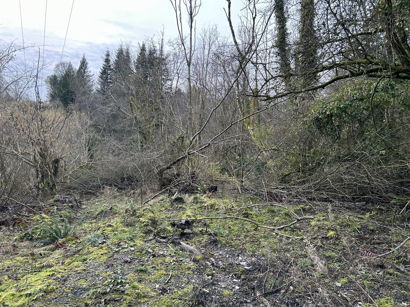 Property Image a5d5d861-1975-459e-9132-9f587451d126