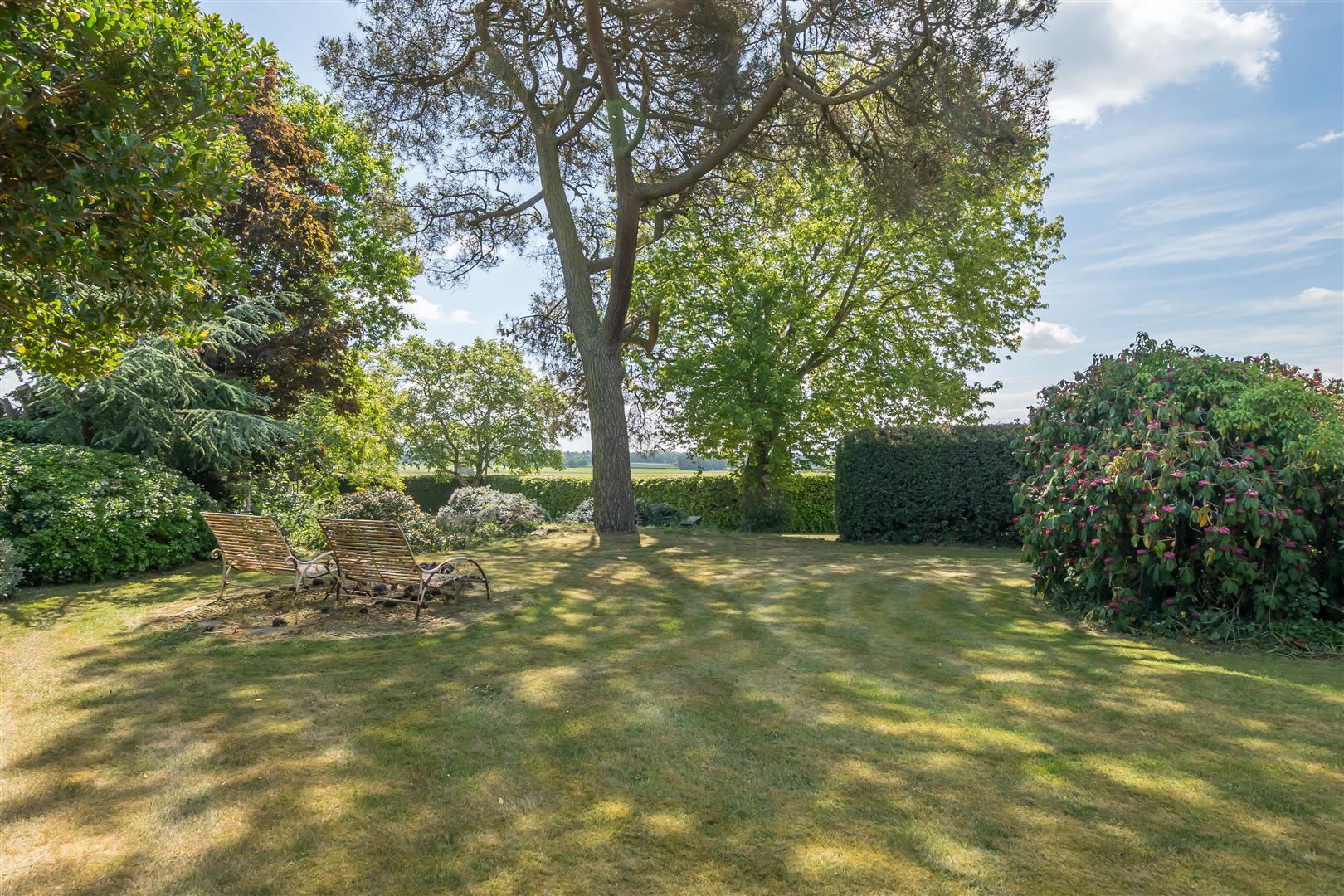 Property Image a5ef963f-7bd9-46fc-9a46-4536597bee47