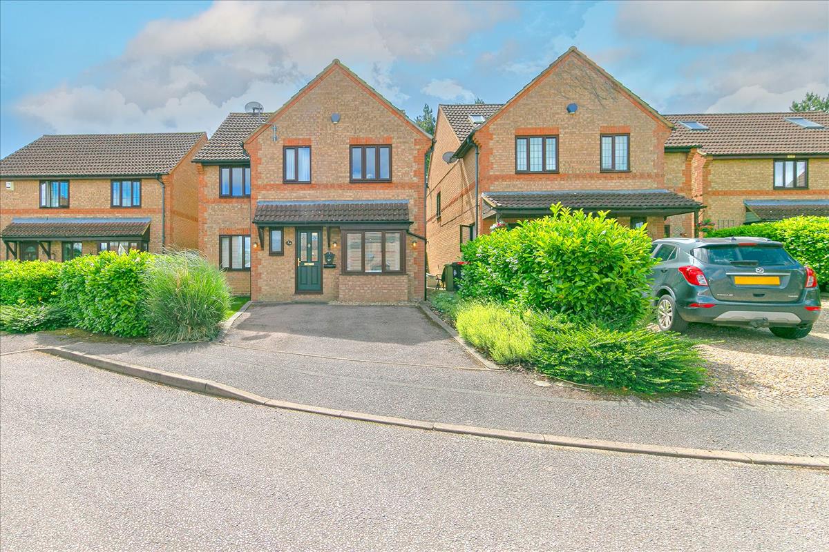Property Image a6bbf583-3e47-425c-b1f0-b992285c6c97