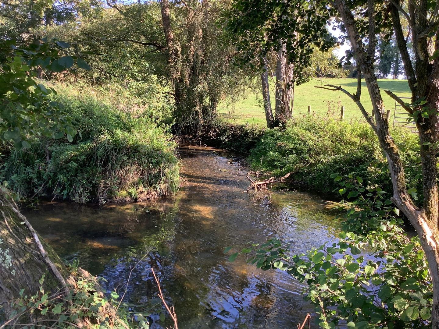 Image 50