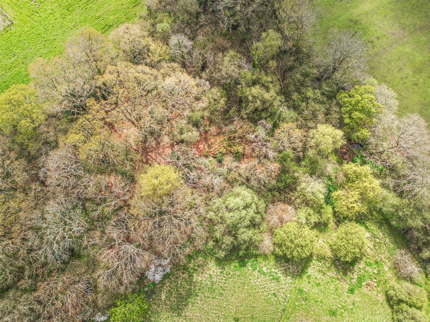 Property Image a70e741b-0a3b-4268-96b0-21d1ce33f9b3