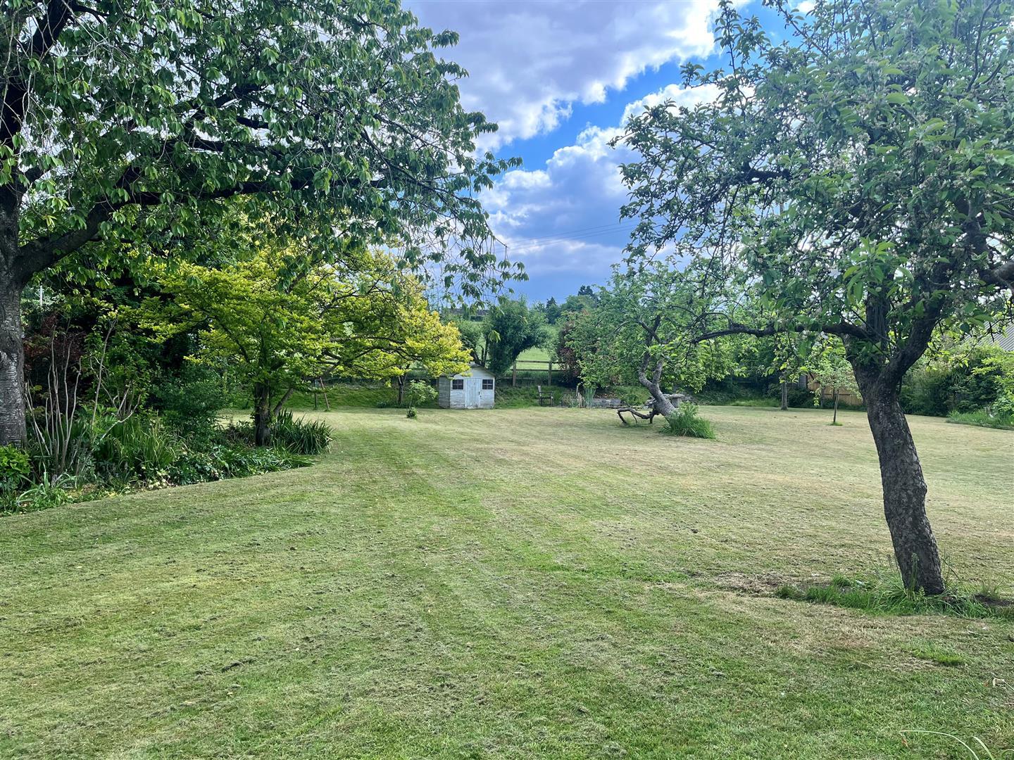 Property Image a71b2fe5-36ce-4fc9-b639-8f04cb16a20a