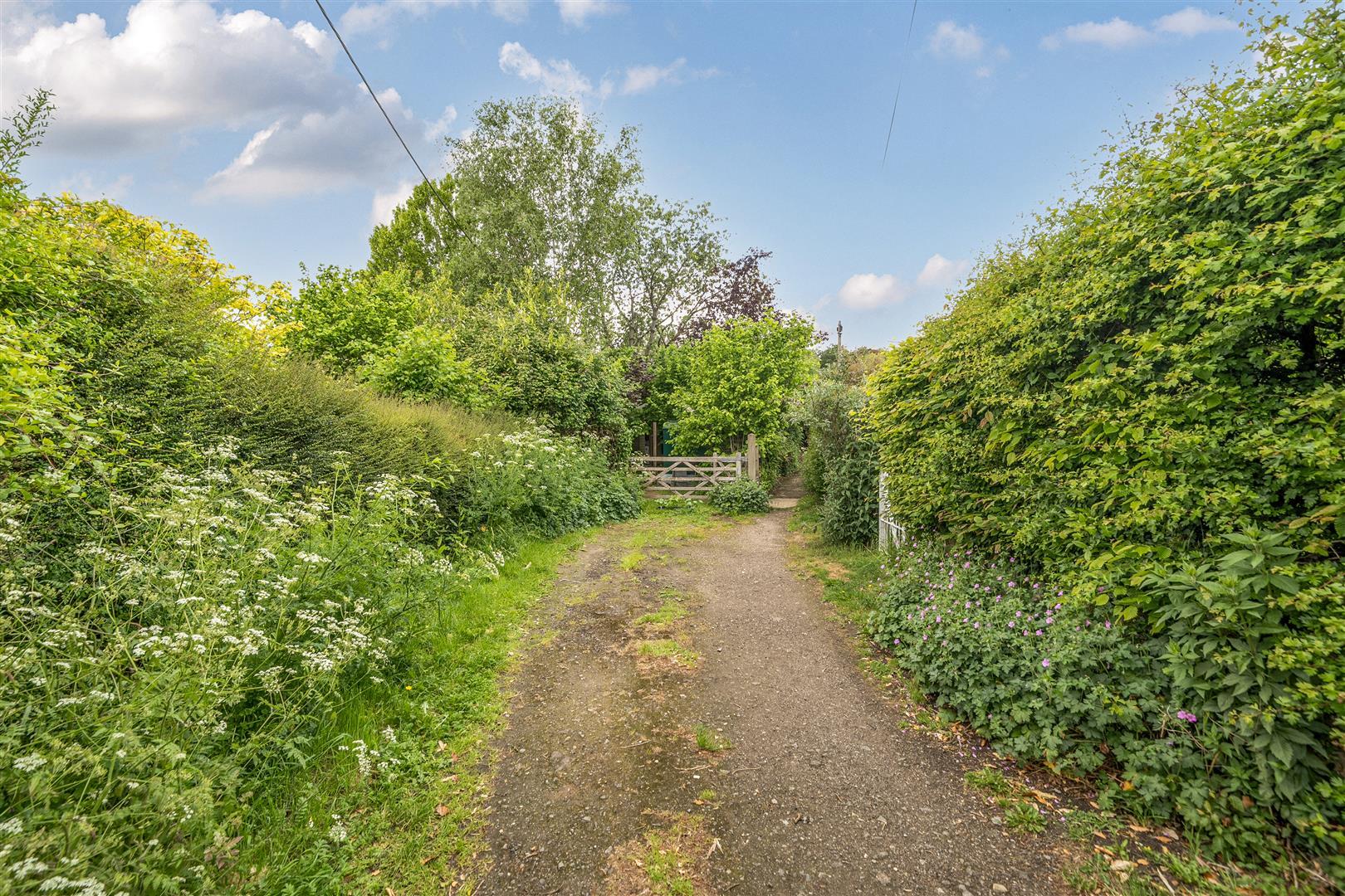 Property Image a74d700c-81e3-4472-8367-8d7b744b2258