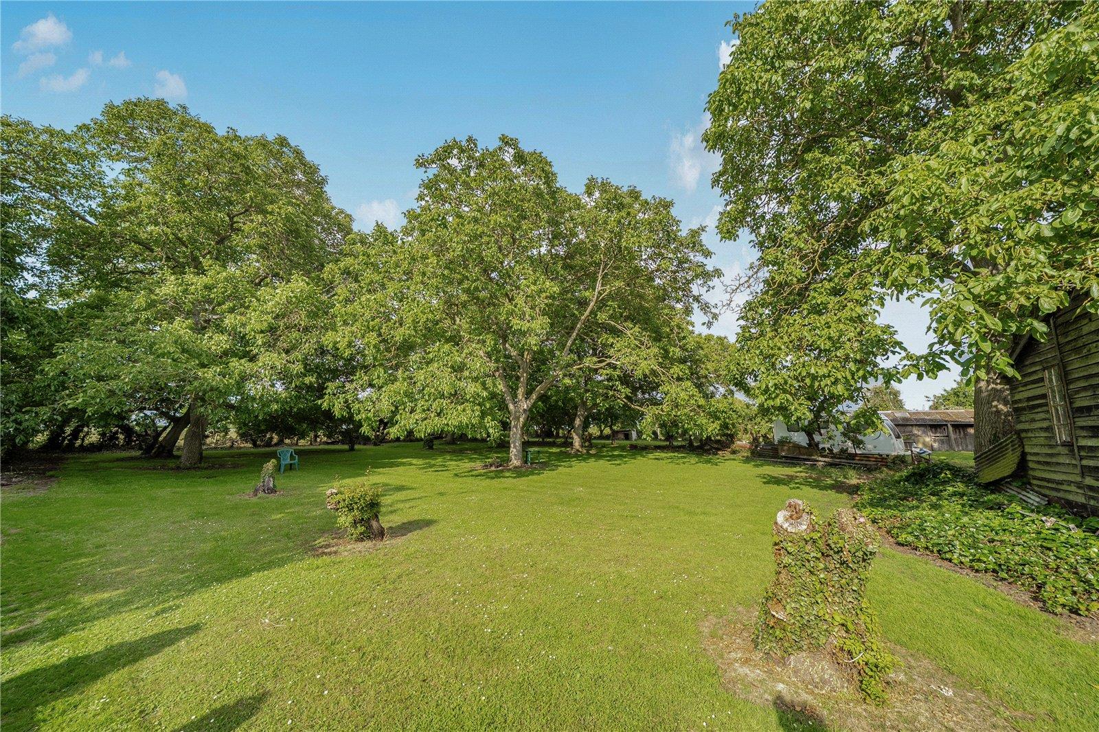 Property Image a779d0f3-d626-49e0-a763-f740f5a67d76