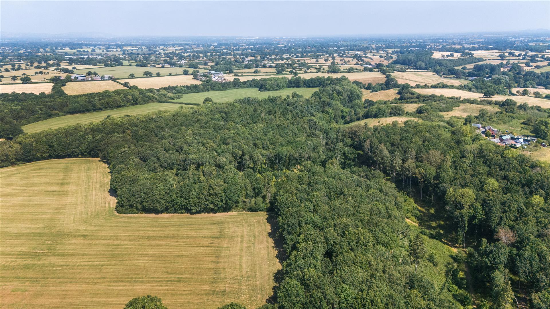 Image 15
