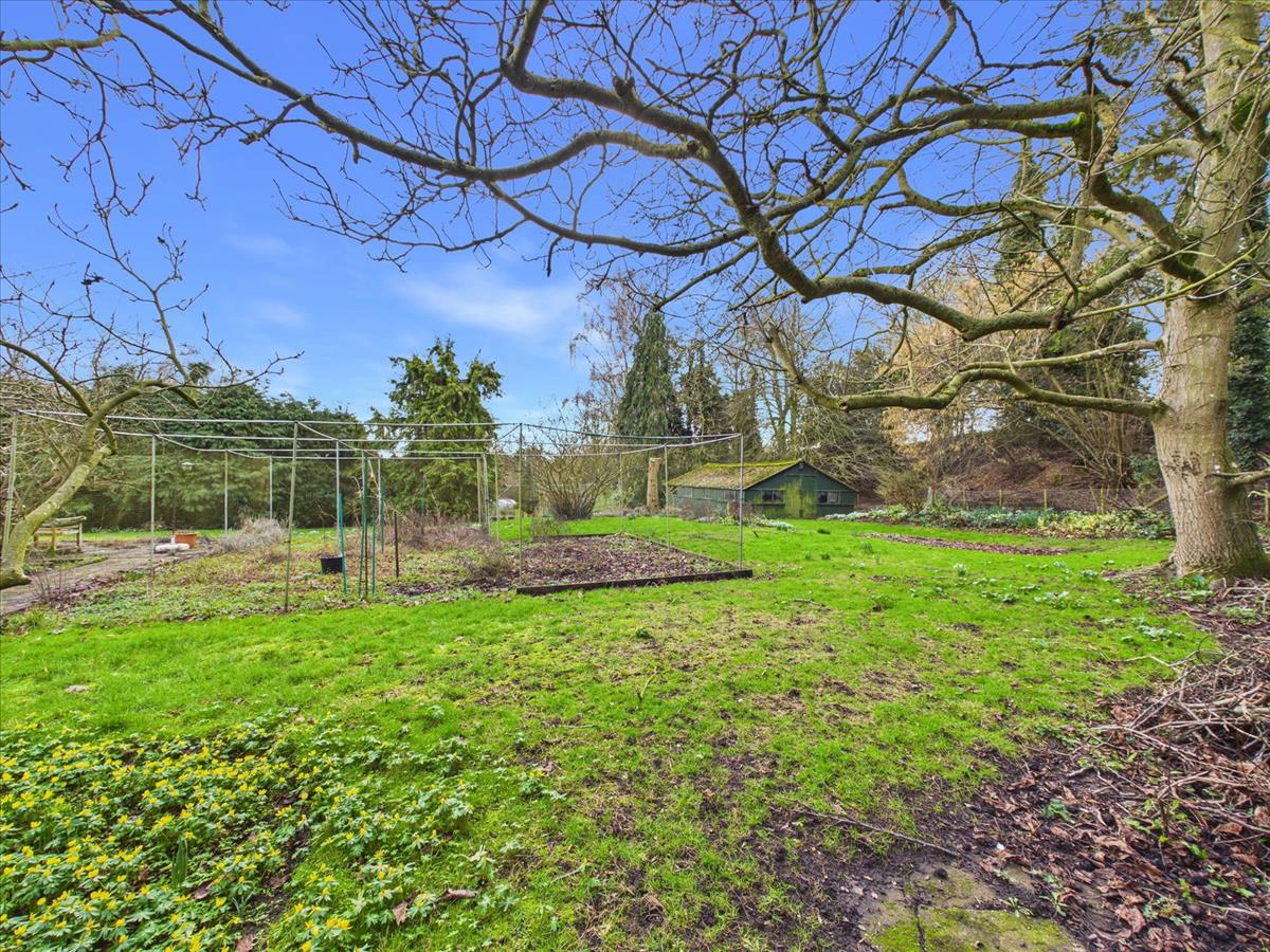 Property Image a7946281-bfa9-49a5-983c-e7be4bca8451