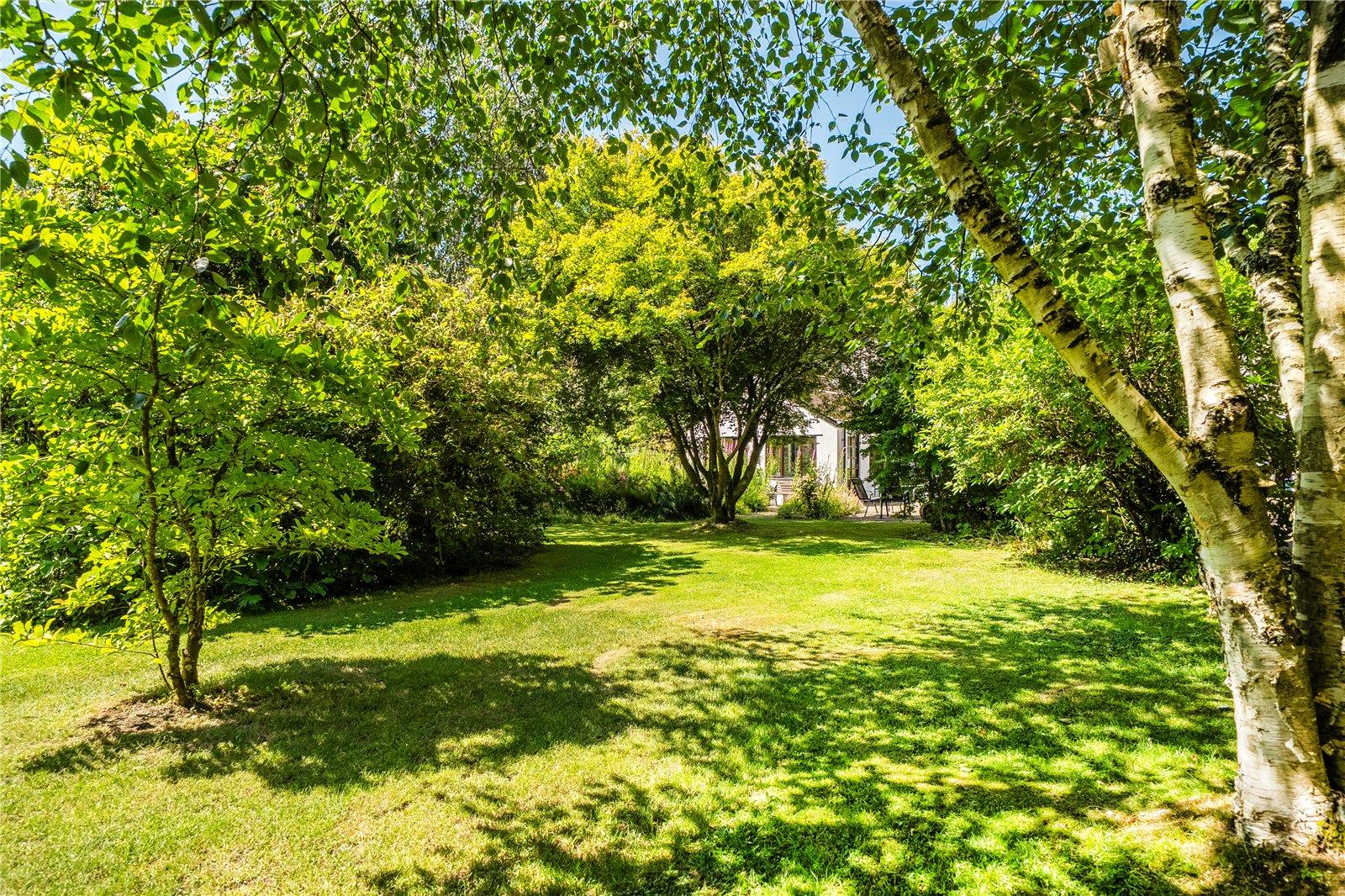 Property Image a7a2cfc4-6a74-4568-aa98-181581a25f3e