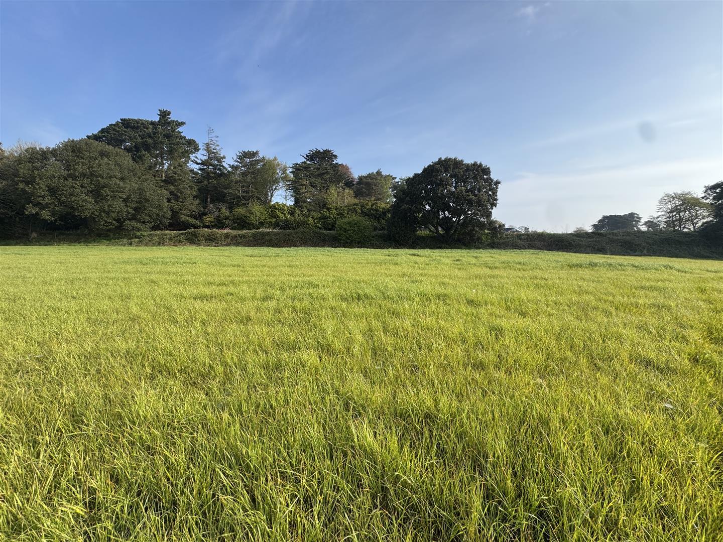 Property Image a7acdd2a-5da1-425b-85b5-741a164c7996