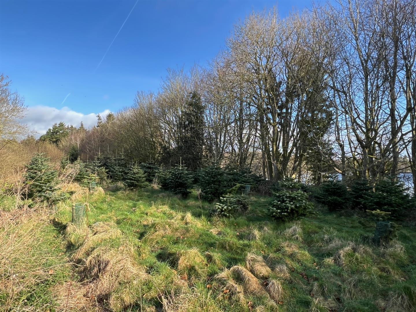 Property Image a803bb38-8eb5-411e-912d-c2d0b3a34f58