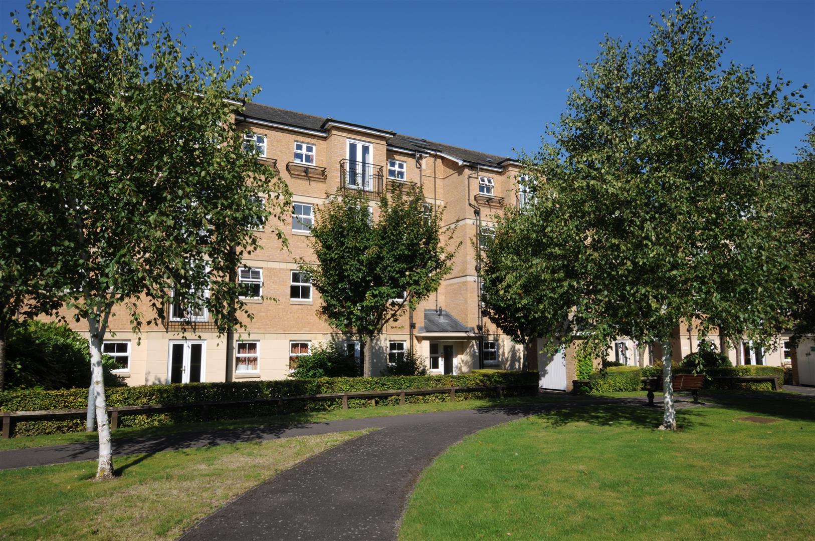 Property Image a80cfd8e-b335-4a98-8ce9-f8e11cd09072