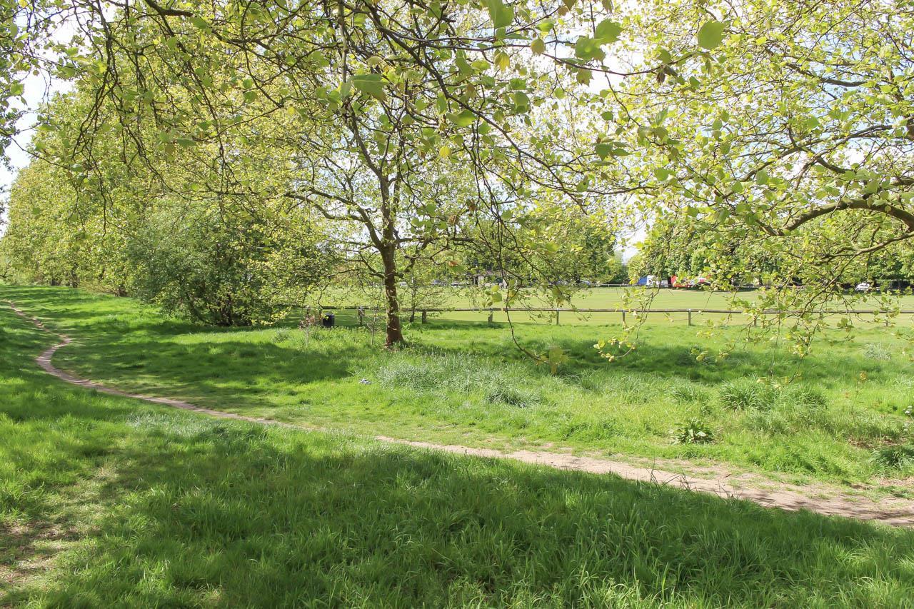 Property Image a83beb3e-dc58-40c0-b234-2034b7d0c4c0