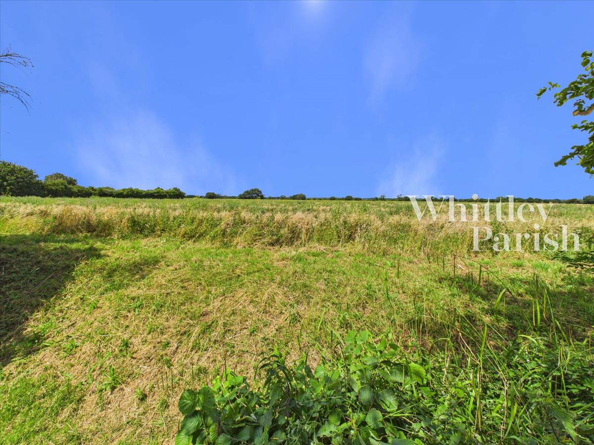 Property Image a89907d8-e5c6-4065-9558-f8c843b2d147