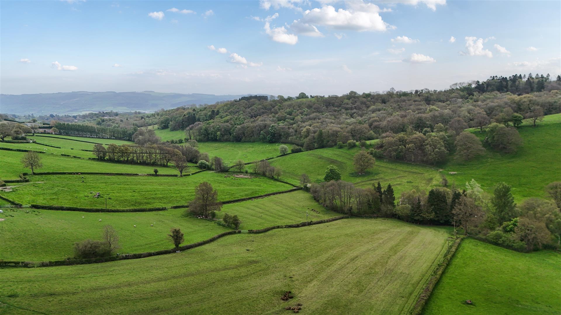 Property Image a96d0367-3efe-402a-9273-50051fb01472