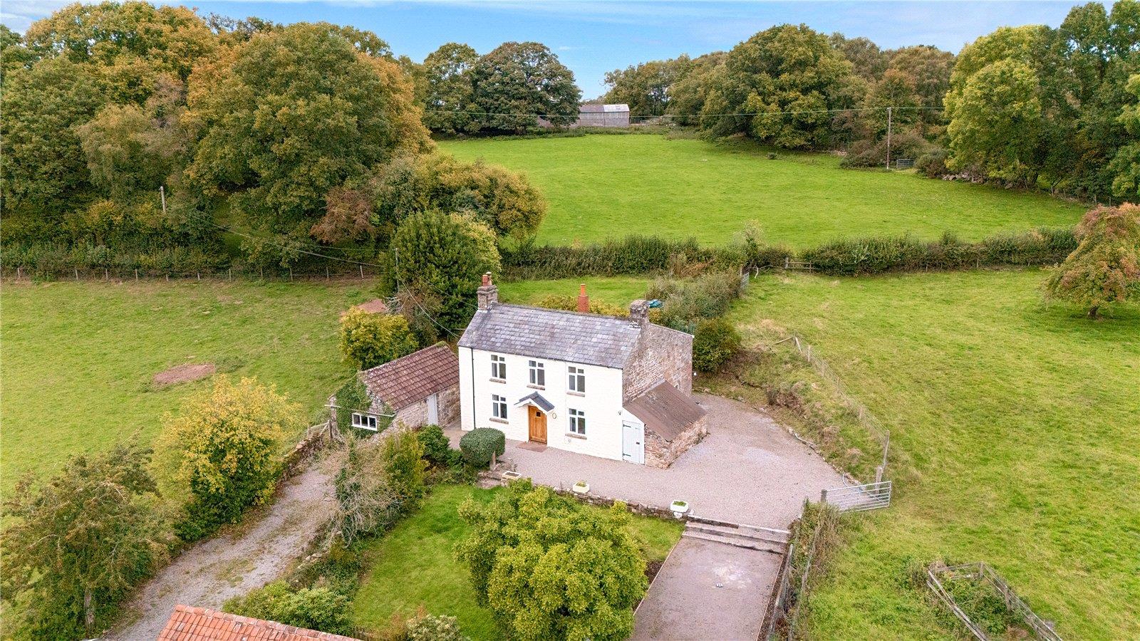 Property Image a9b84ef5-80cf-4f4b-b93c-7cc8c1c5f014