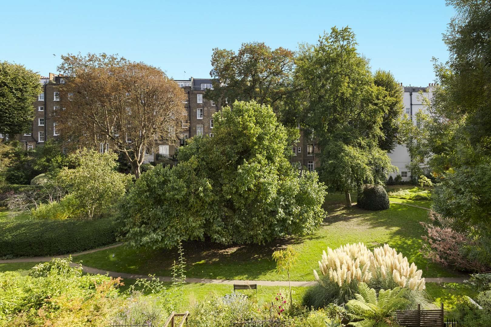 Property Image aa1d0bbf-7581-42af-acd0-bc6648095d77