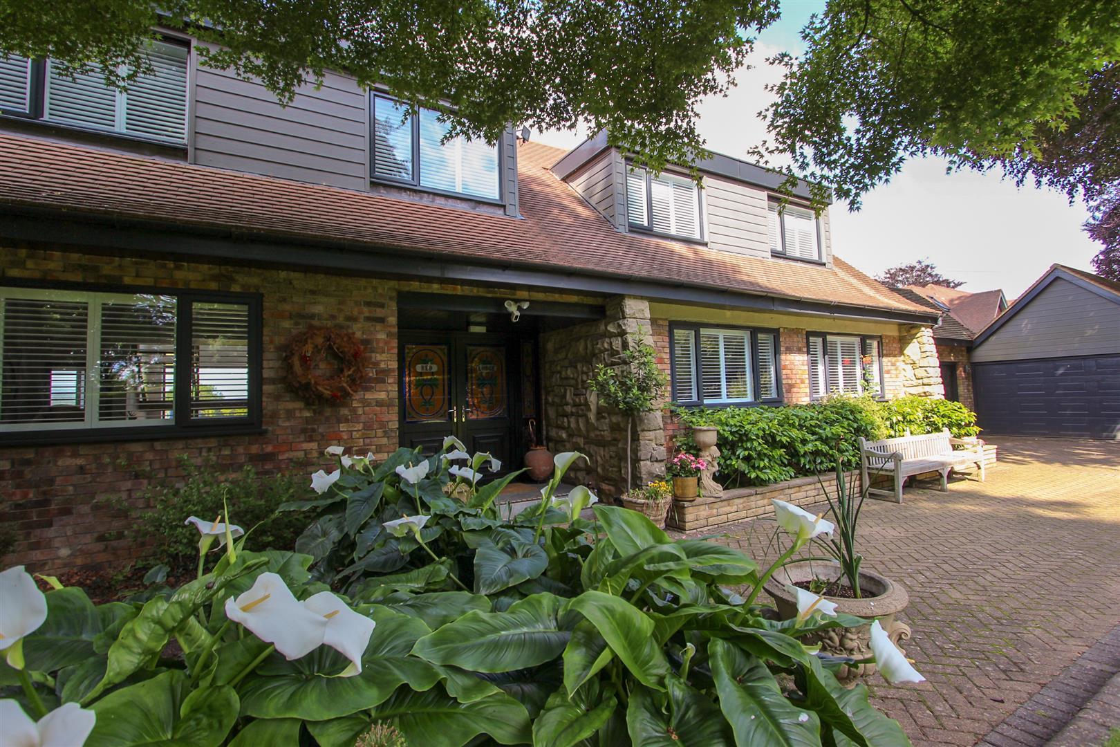 Property Image aa41608a-f816-4552-bf8e-d888be8ed4ff