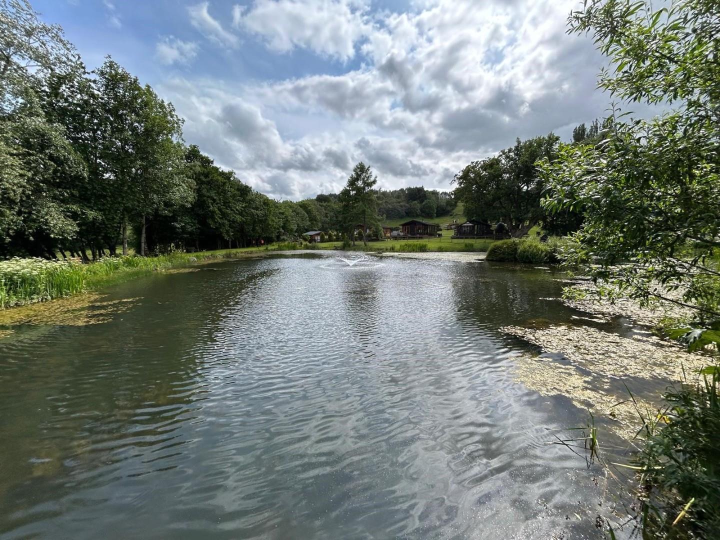 Property Image aa450e45-565e-44e7-897d-d76bc58c6514