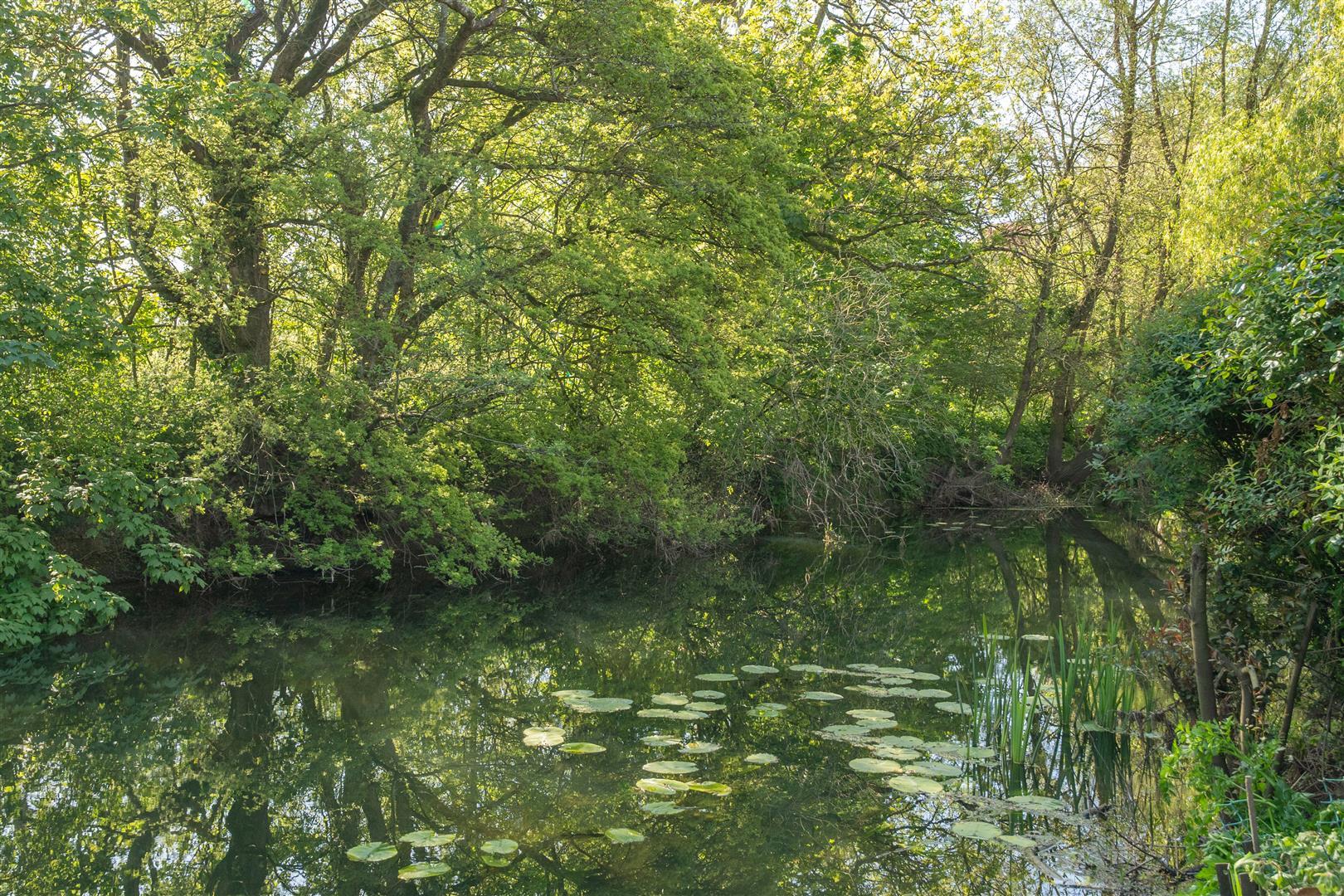 Property Image aa80896d-4af4-45c5-9c19-b2b33fb2beb4