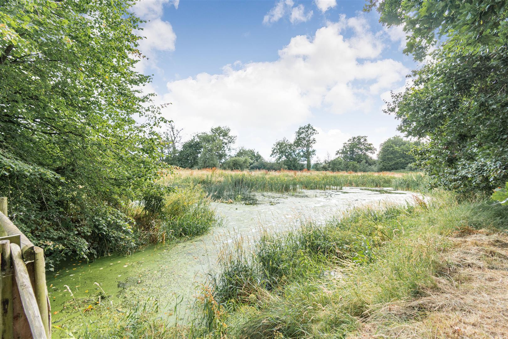 Property Image aa88b541-db5a-471b-8bbe-0f40a82dcd42