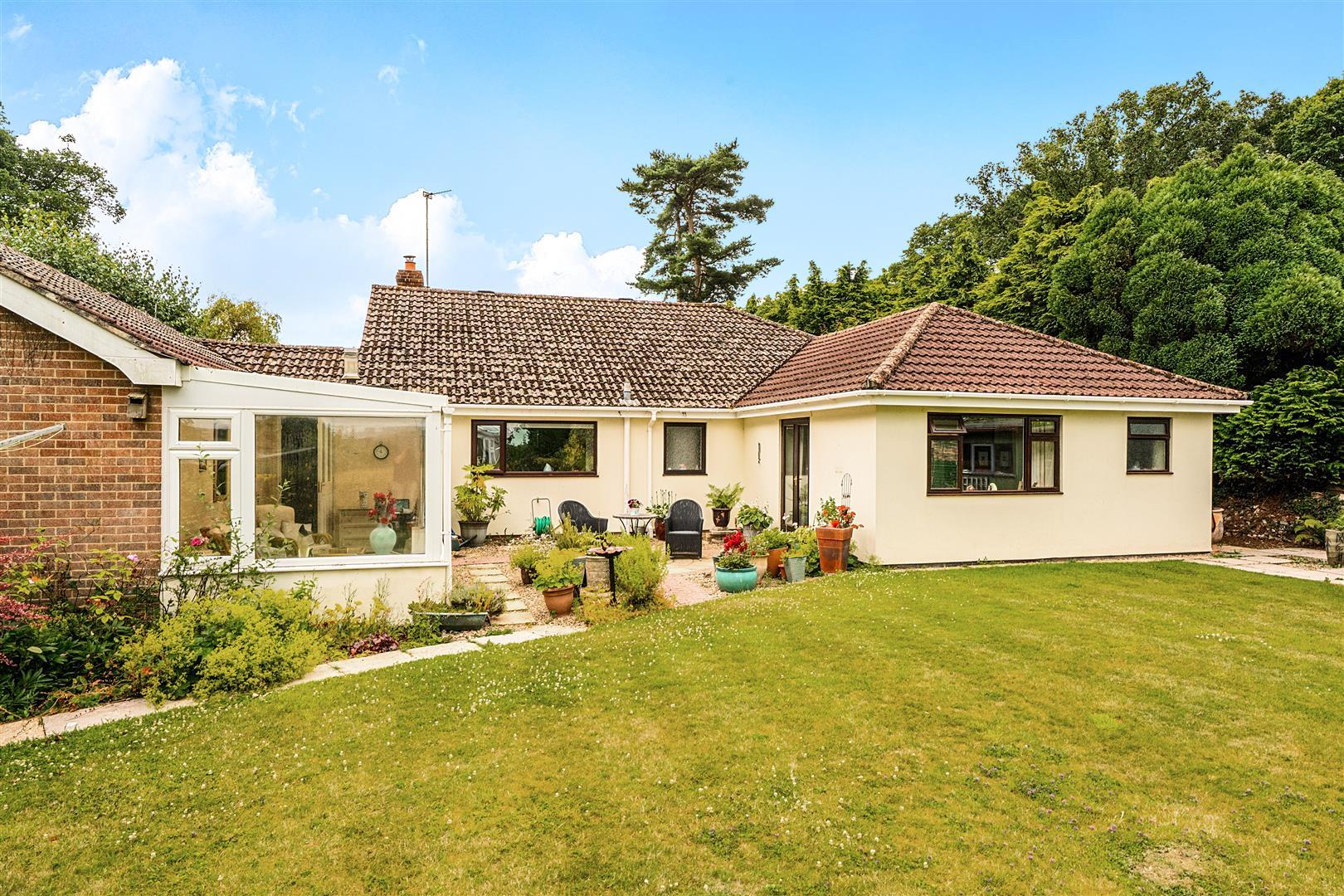 Property Image aa9bf30c-8e97-4597-9961-012ac86a0444