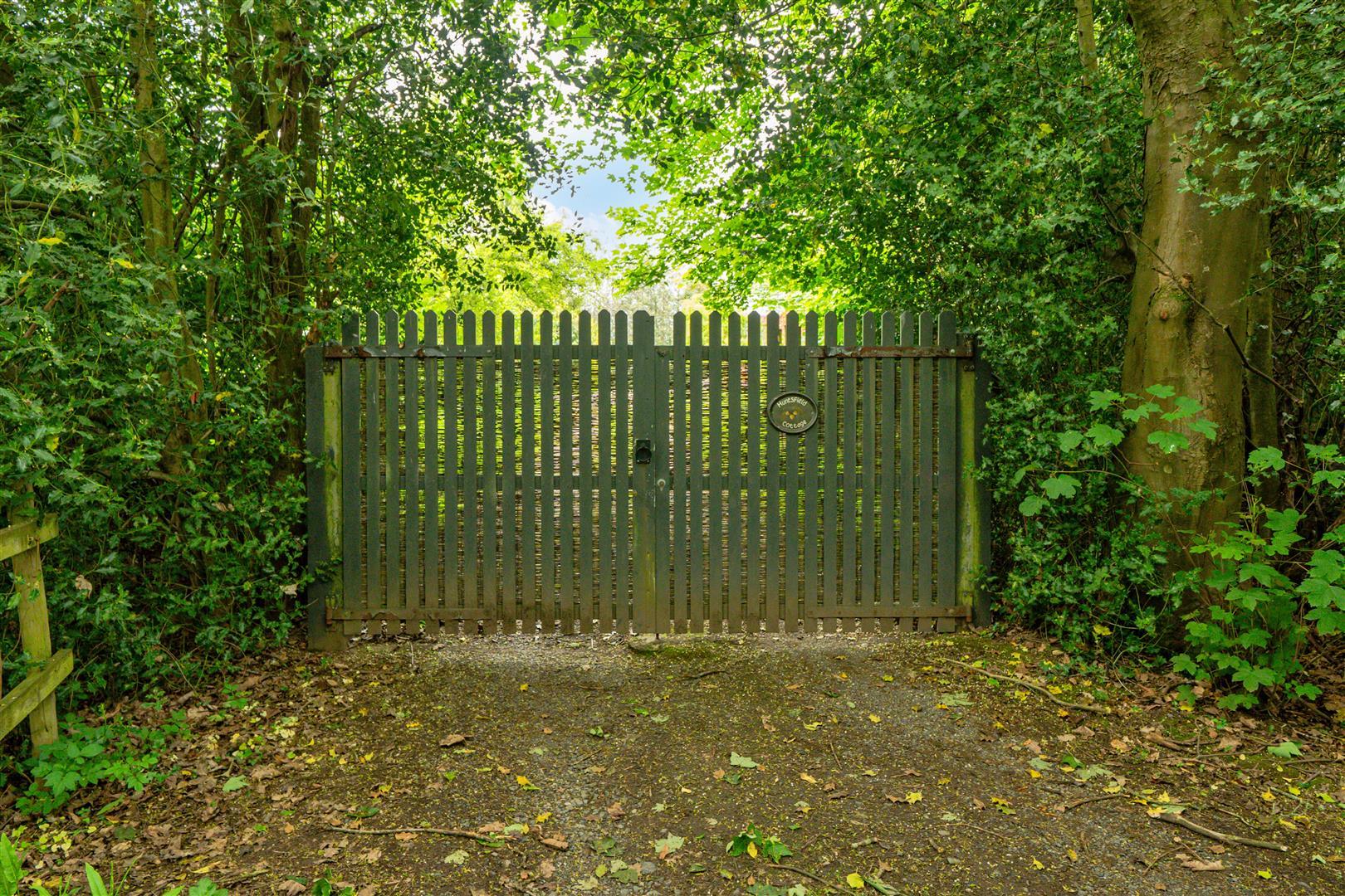 Property Image aacb06f3-092b-4251-882c-63e012400f97